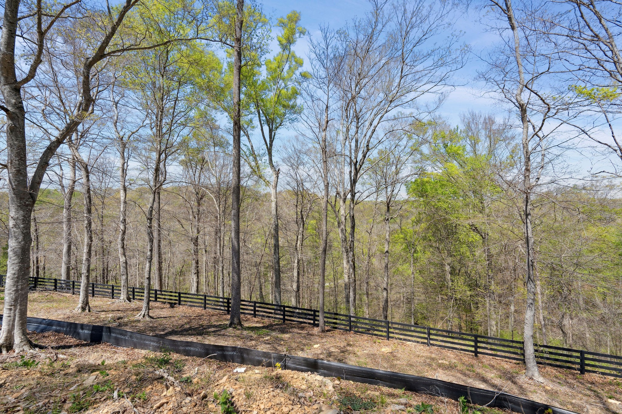 6016 Russell Ridge Lane Franklin, TN 37064 - Photo 10 of 26 Gallery Image 10