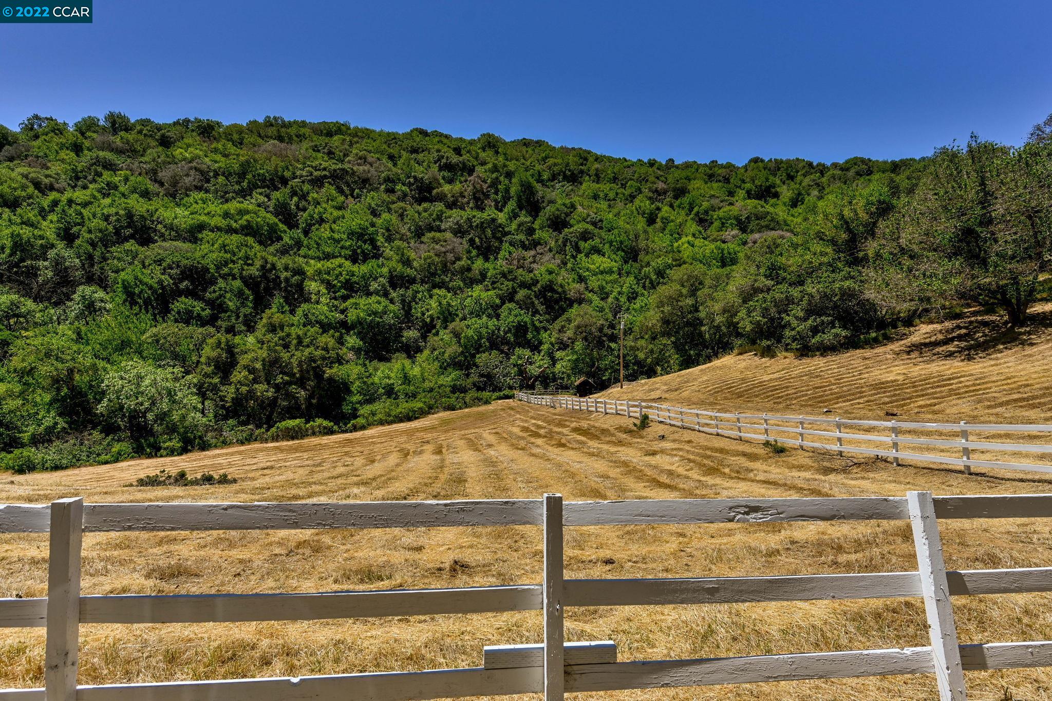 5433 Alhambra Valley Road Martinez, CA 94553 - Photo 45 of 59