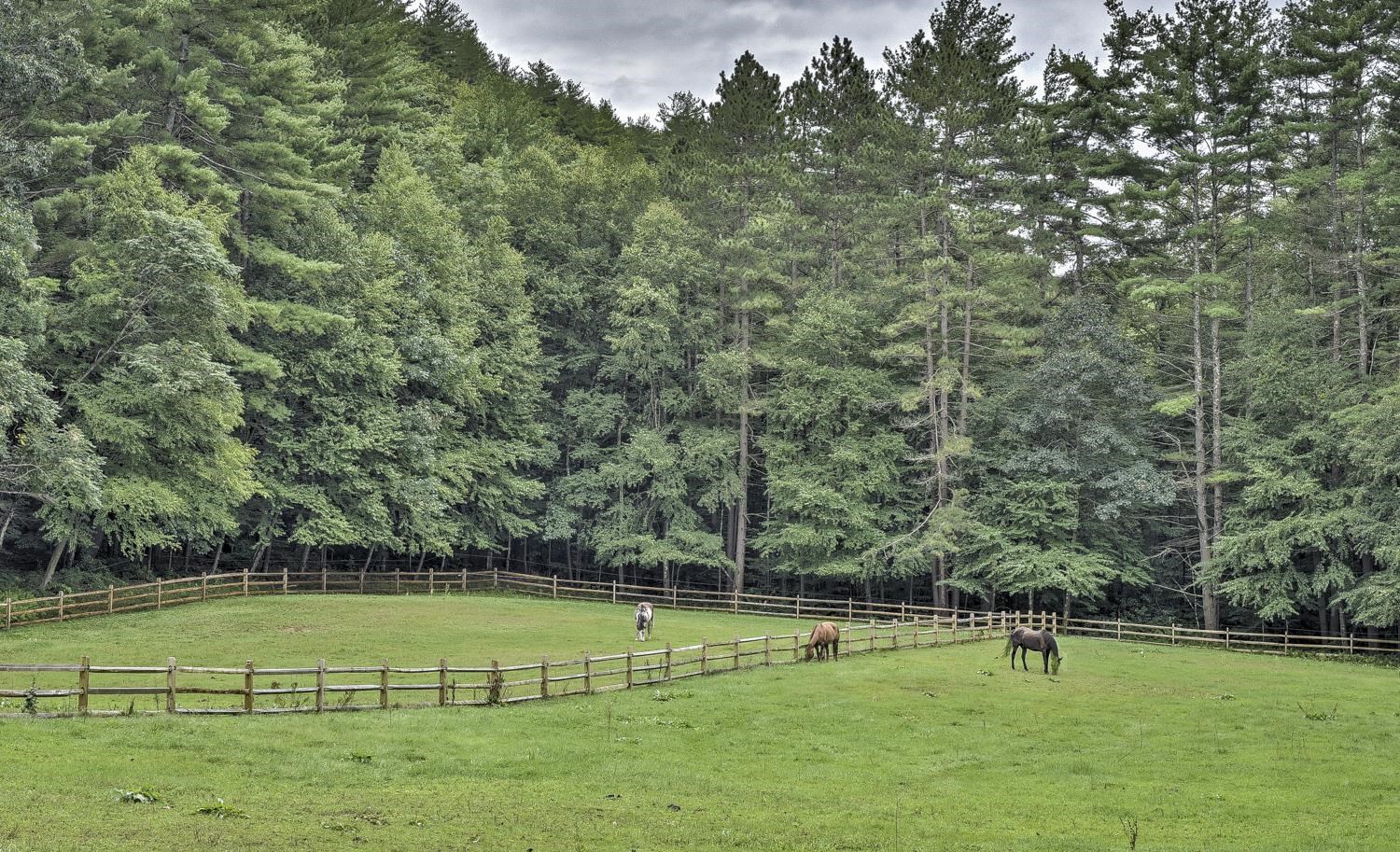 1123 River Road Westmoreland, NH 03467 - Photo 50 of 56