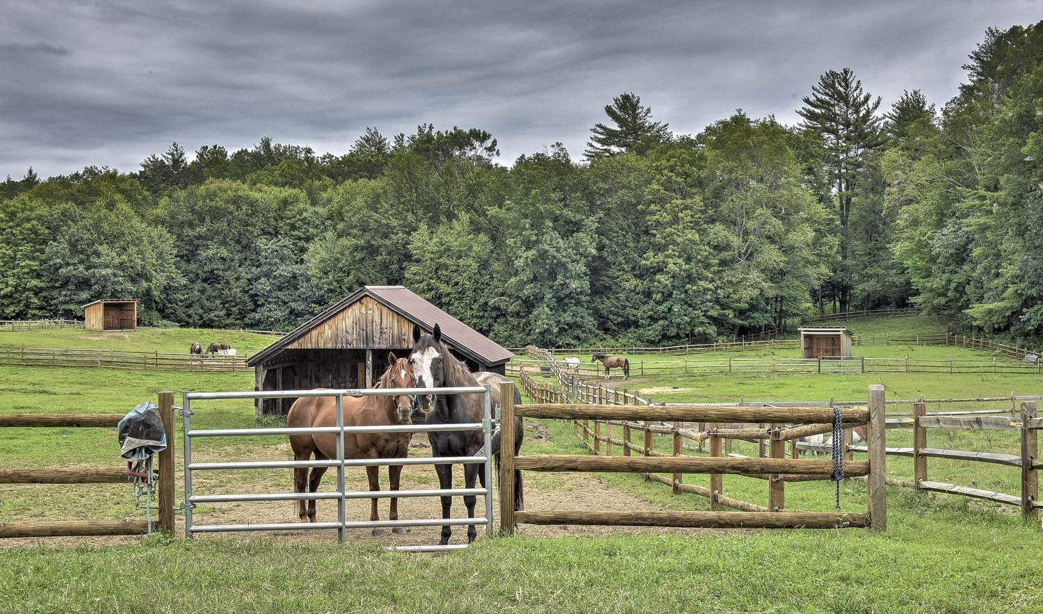 1123 River Road Westmoreland, NH 03467 - Photo 51 of 56