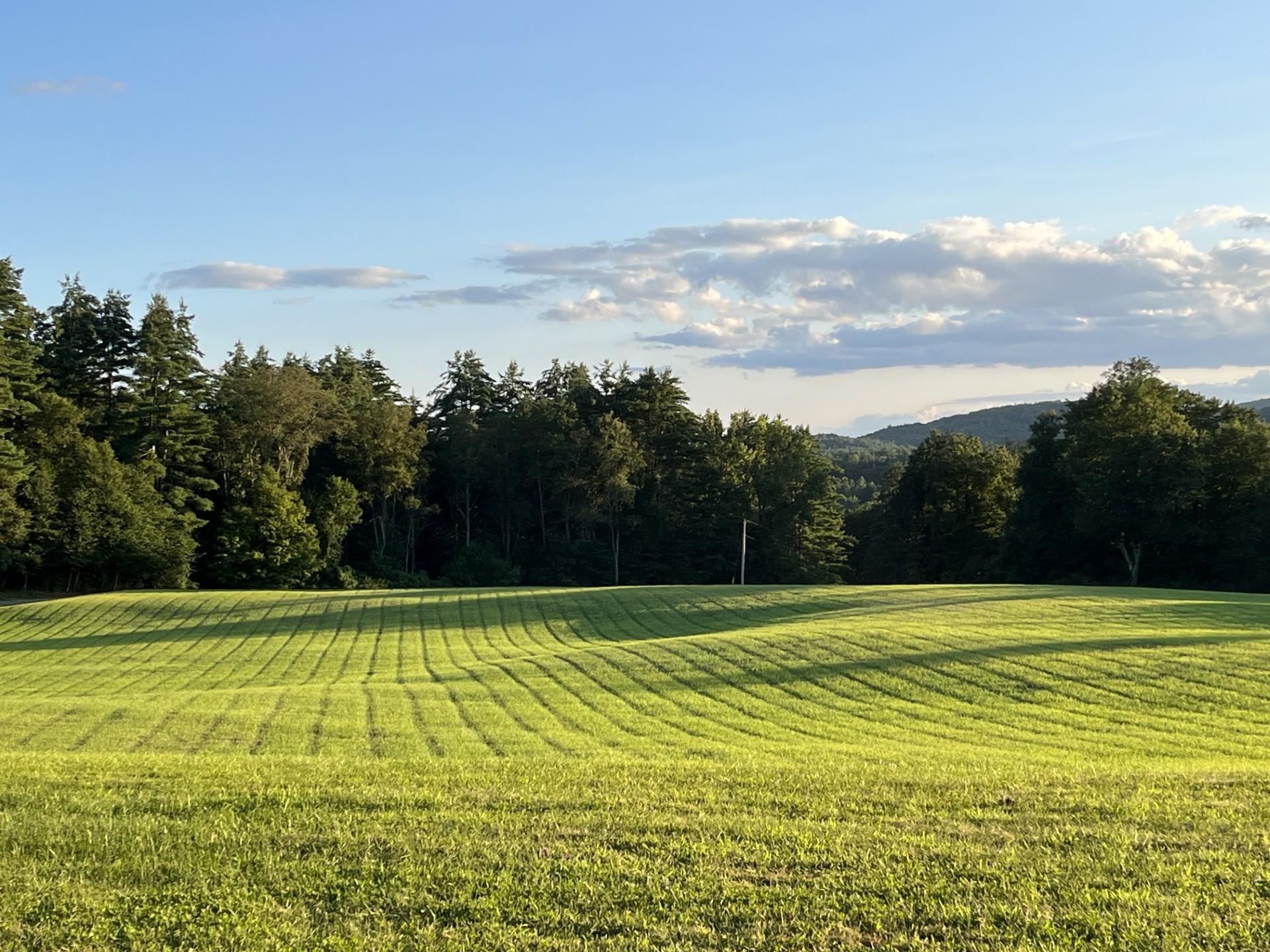 1123 River Road Westmoreland, NH 03467 - Photo 52 of 56