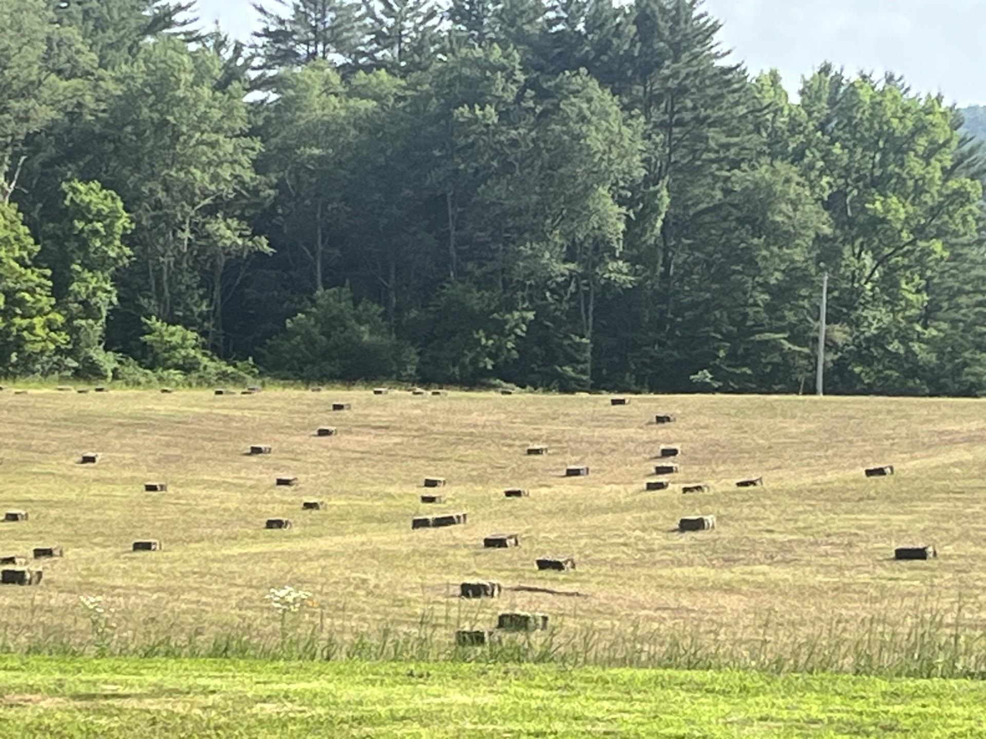 1123 River Road Westmoreland, NH 03467 - Photo 53 of 56