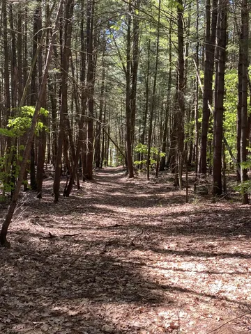 $1,875,000 | 1123 River Road, Westmoreland, NH 03467