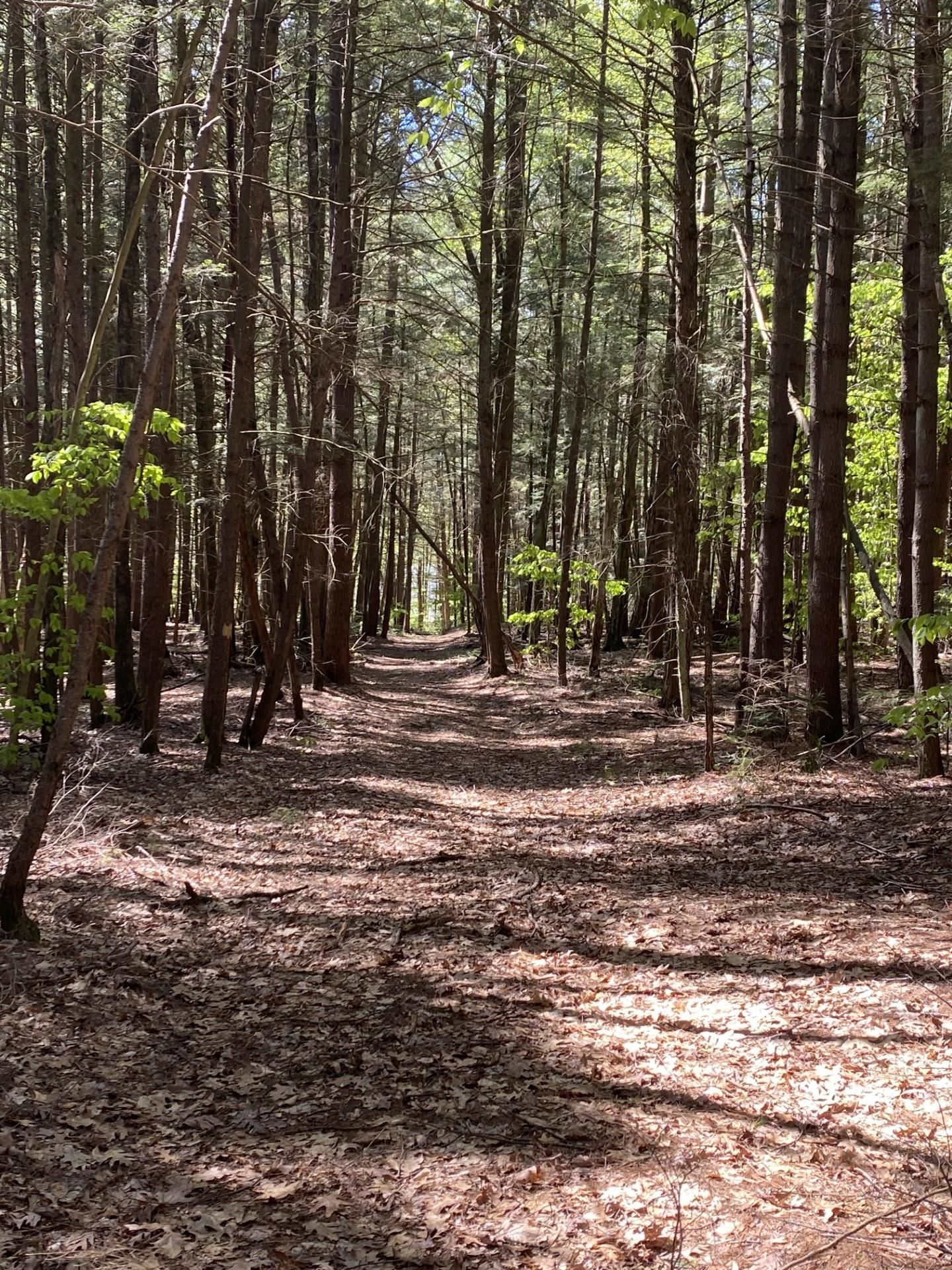 1123 River Road Westmoreland, NH 03467 - Photo 54 of 56