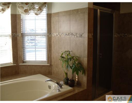 30 Carnation Road Monroe Township, NJ 08831 - Photo 9 of 20 a bath tub sitting in a bathroom next to a window