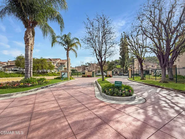 a view of a garden with a tree