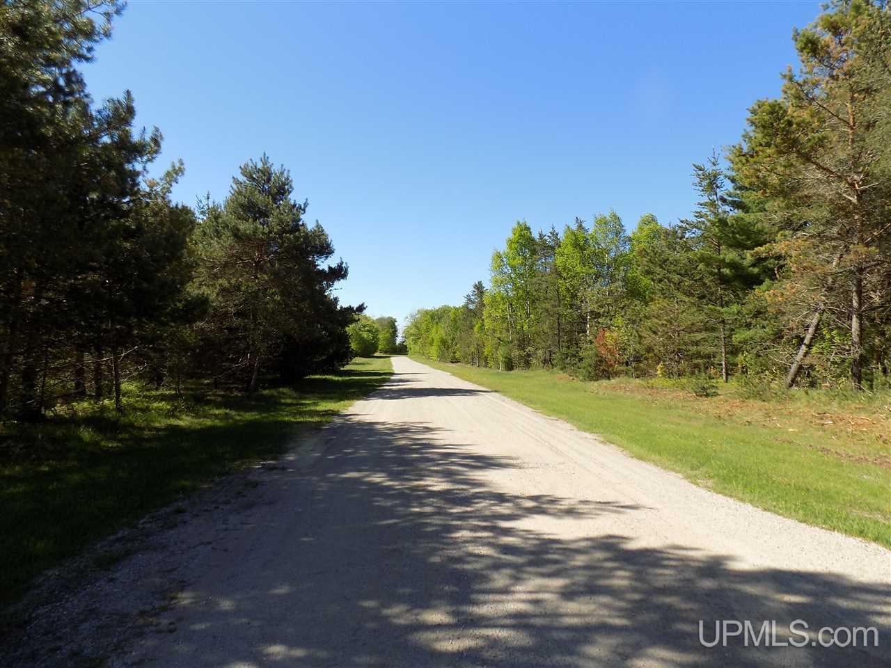 Tbd Northshore Bluffs Road, Unit 4 Manistique, MI 49854 - Photo 3 of 21