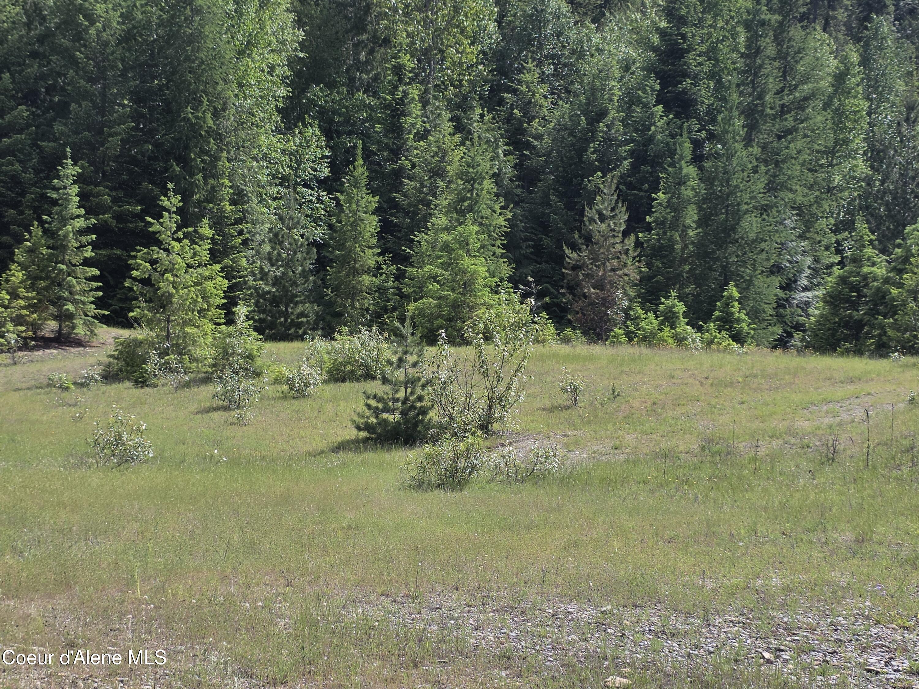 5784 River Road Clark Fork, ID 83811 - Photo 38 of 38 Another building site