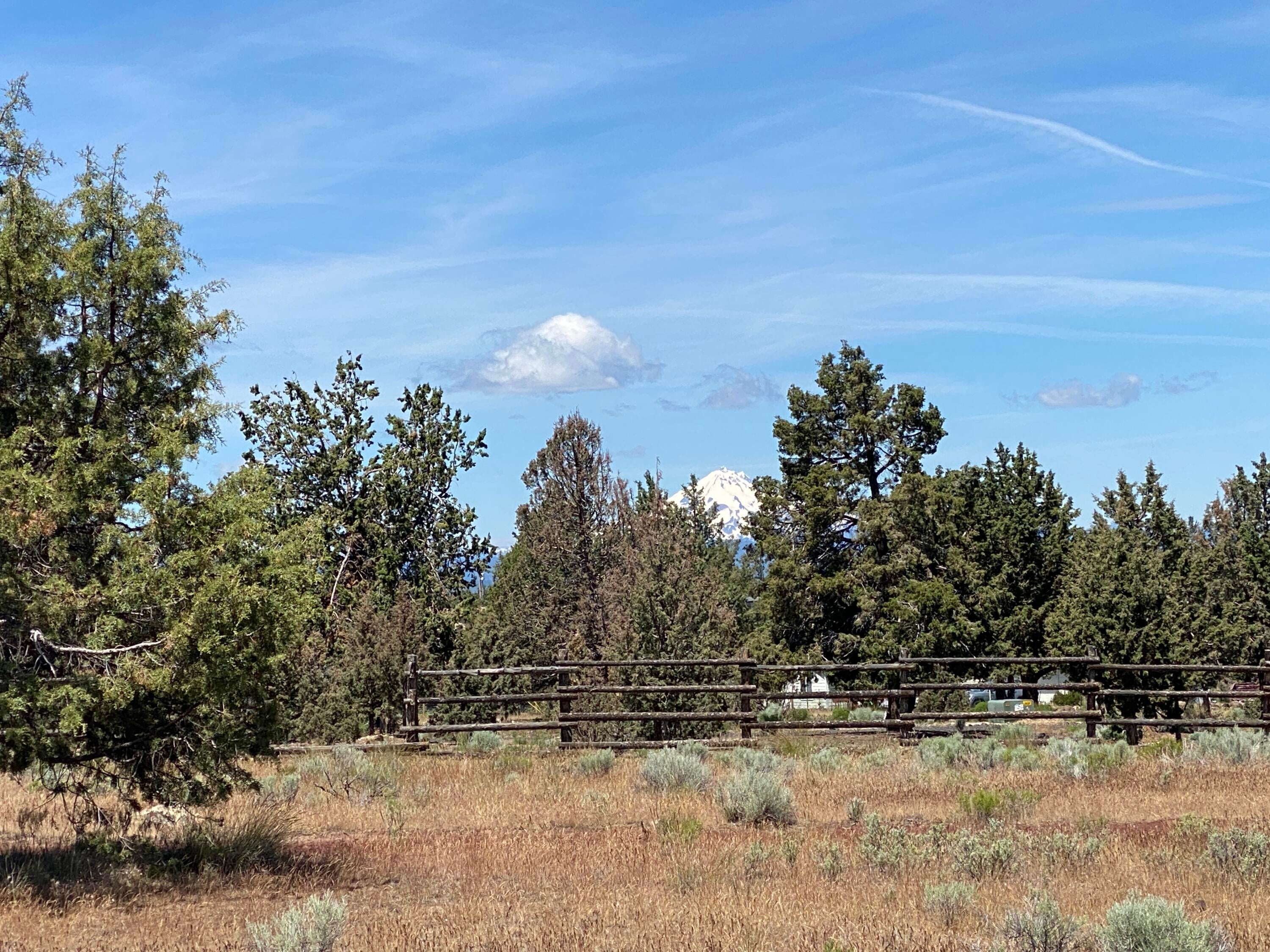 Lot 292 Southwest Shad Road Terrebonne, OR 97760 - Photo 10 of 14 IMG_0948
