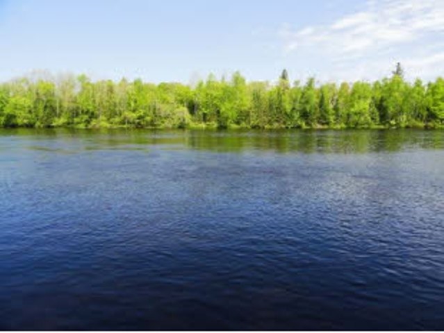 Lot 2 State Highway Tomahawk, WI 54487 - Photo 1 of 1