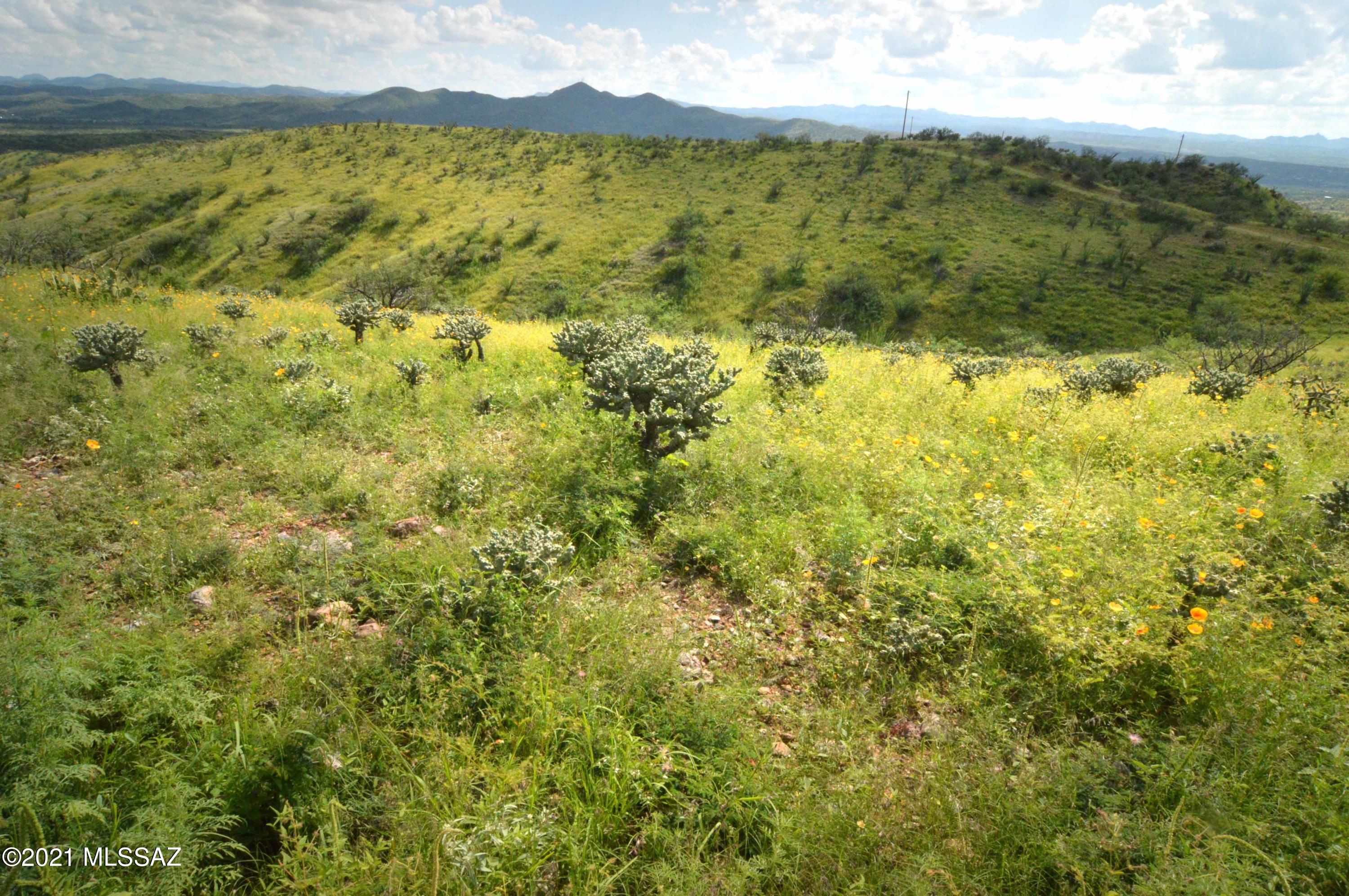 Tbd Sonoita Creek Ranch Road, Unit 86 Nogales, AZ 85621 - Photo 27 of 32