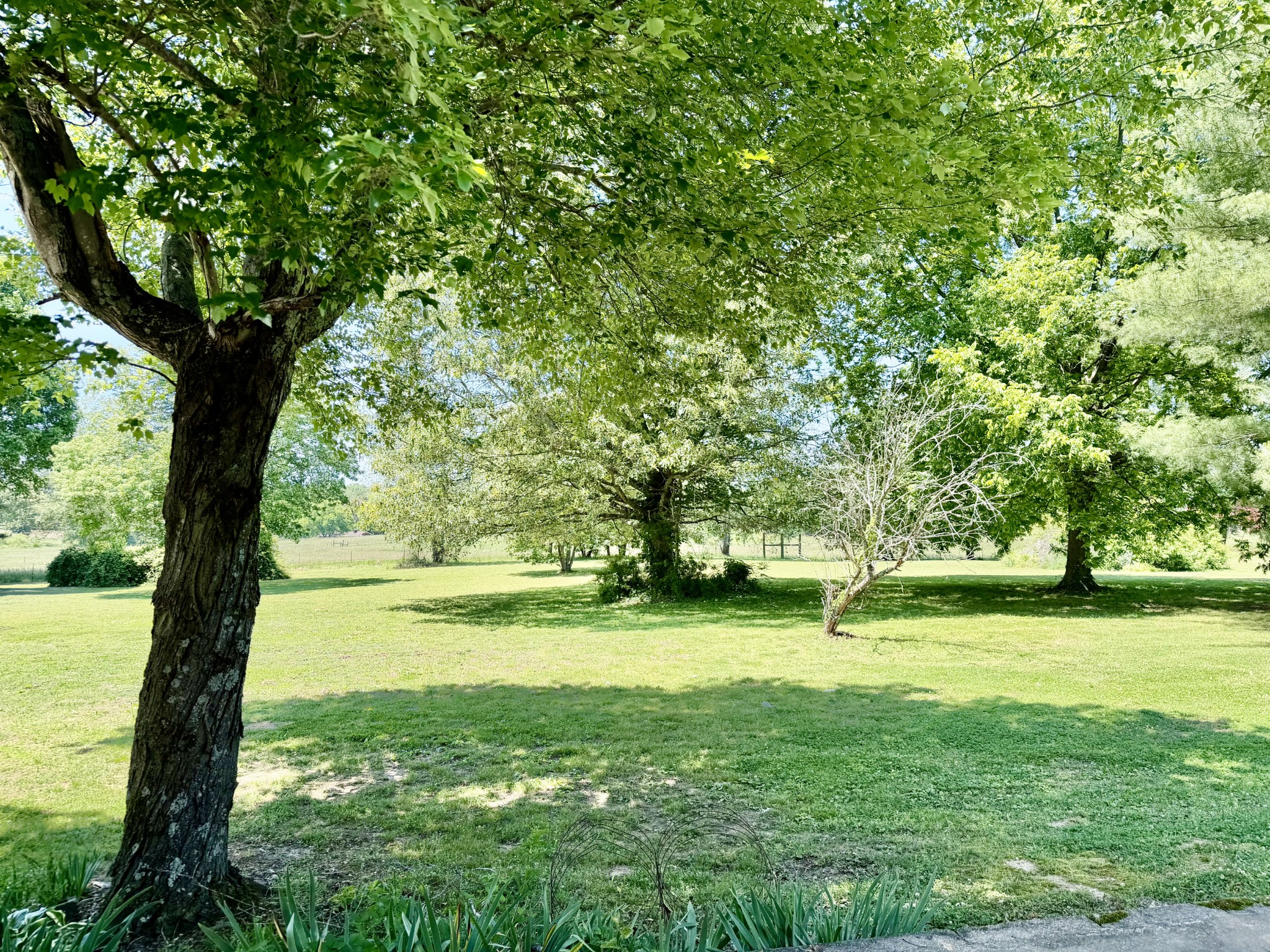325 Rabbit Trail Road Leoma, TN 38468 - Photo 5 of 22