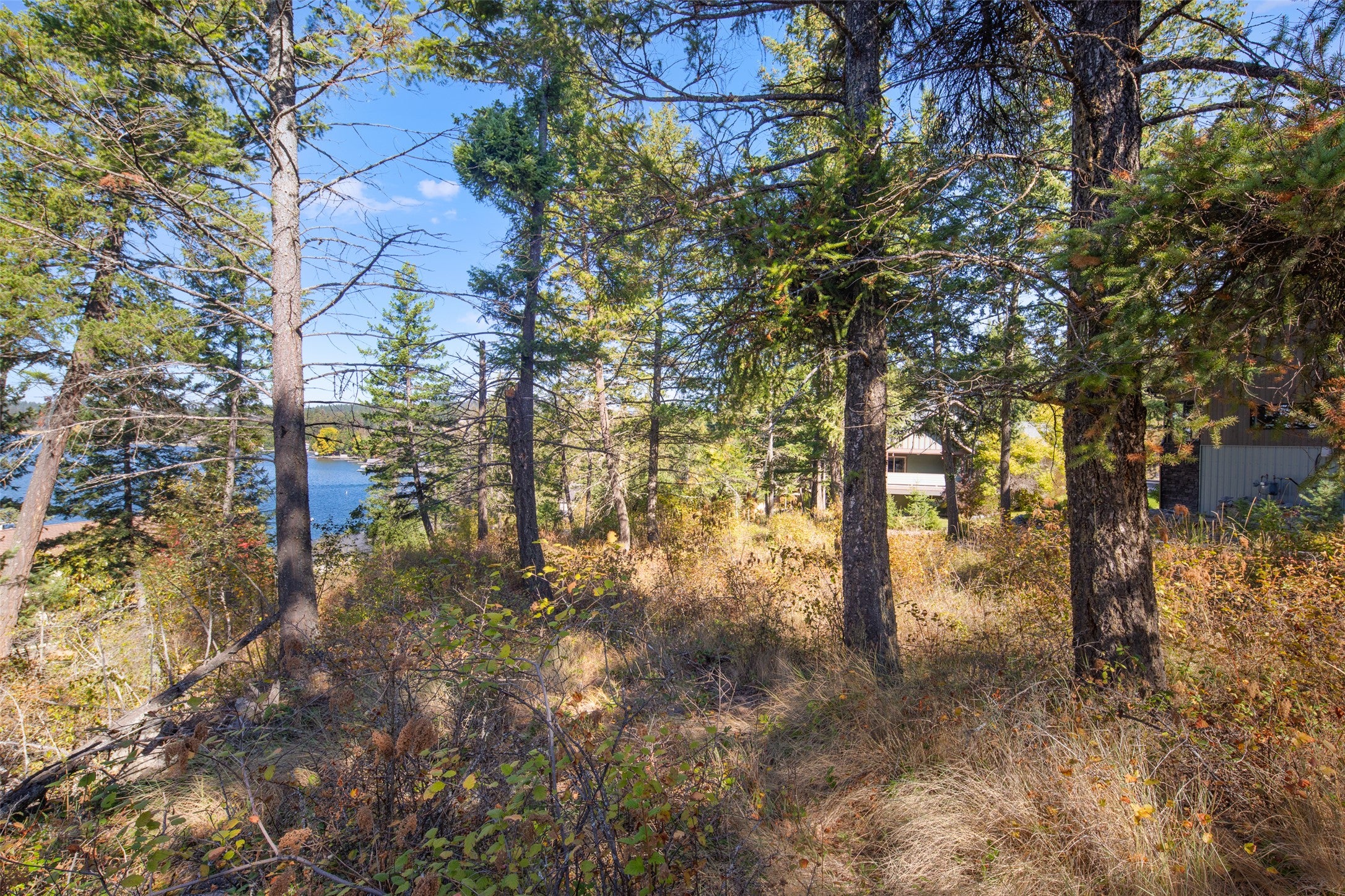 142 Whisper Rdg Drive Bigfork, MT 59911 - Photo 7 of 17 Gallery Image 7