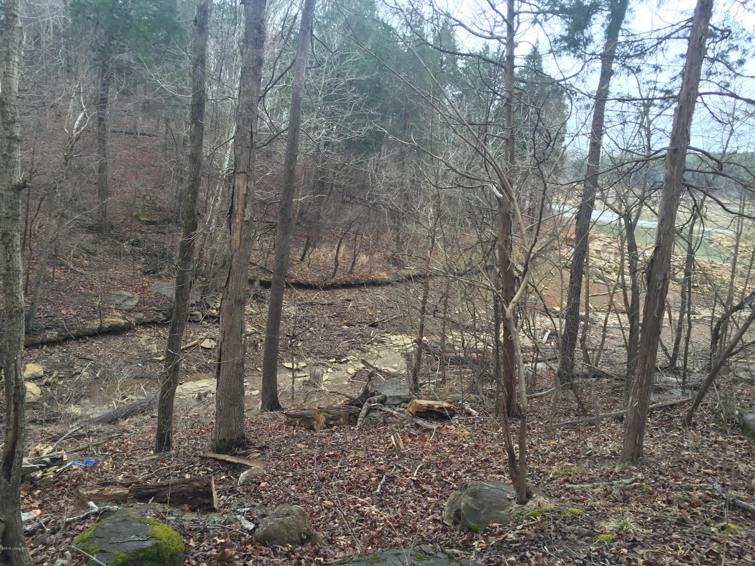 105 Pawnee Road Cub Run, KY 42729 - Photo 14 of 21 image