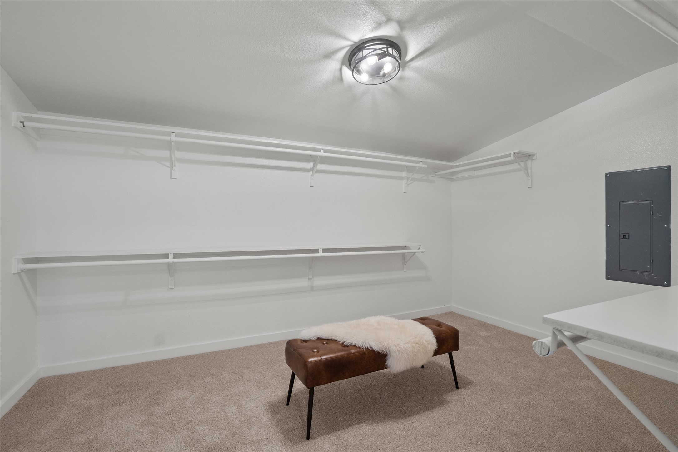 1605 South Austin Avenue Georgetown, TX 78626 - Photo 19 of 40 Walk in closet with electric panel, light colored carpet, and vaulted ceiling