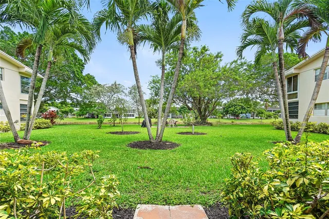 a green field with lots of palm trees