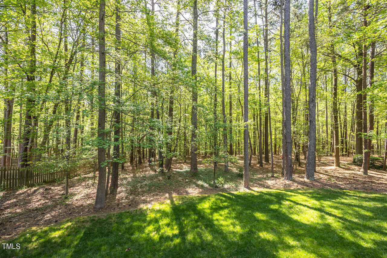 412 Grosvenor Drive Raleigh, NC 27615 - Photo 48 of 53 412-grosvenor-vacant-44