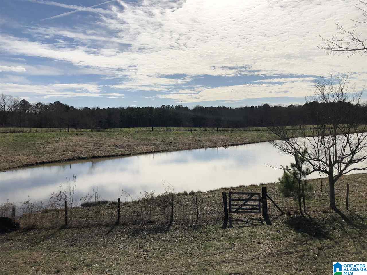 609 Cobb Brazeel Road Trafford, AL 35172 - Photo 20 of 42