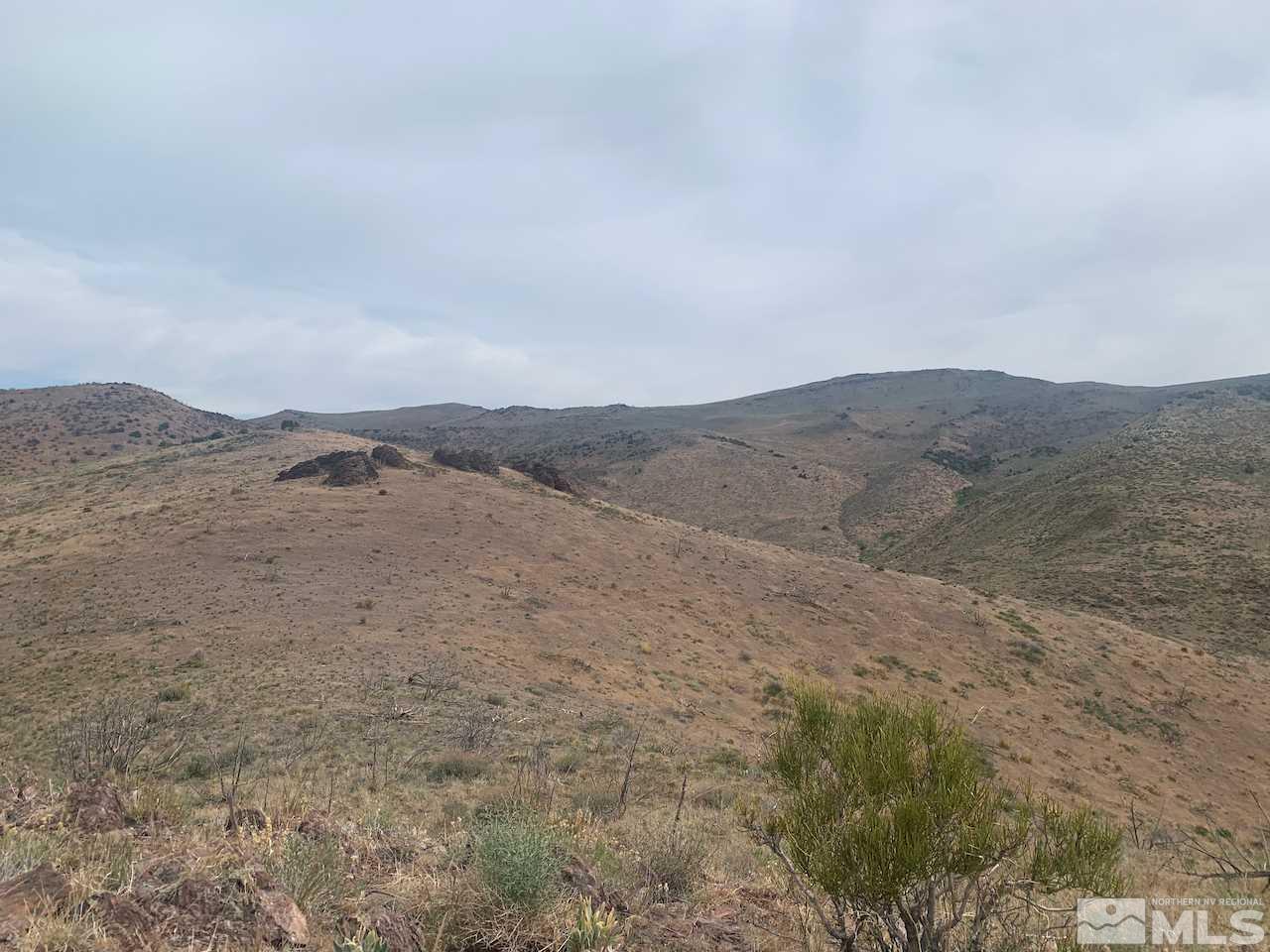 2655 Piute Creek Road Reno, NV 89510 - Photo 1 of 7 a view of mountain and field