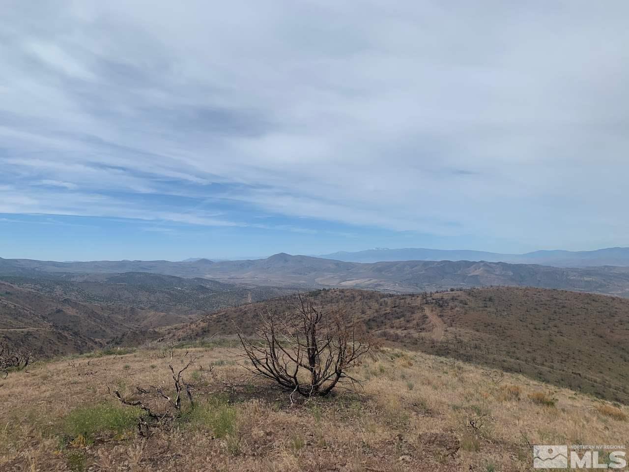 2655 Piute Creek Road Reno, NV 89510 - Photo 2 of 7 a view of a dry field with trees in background