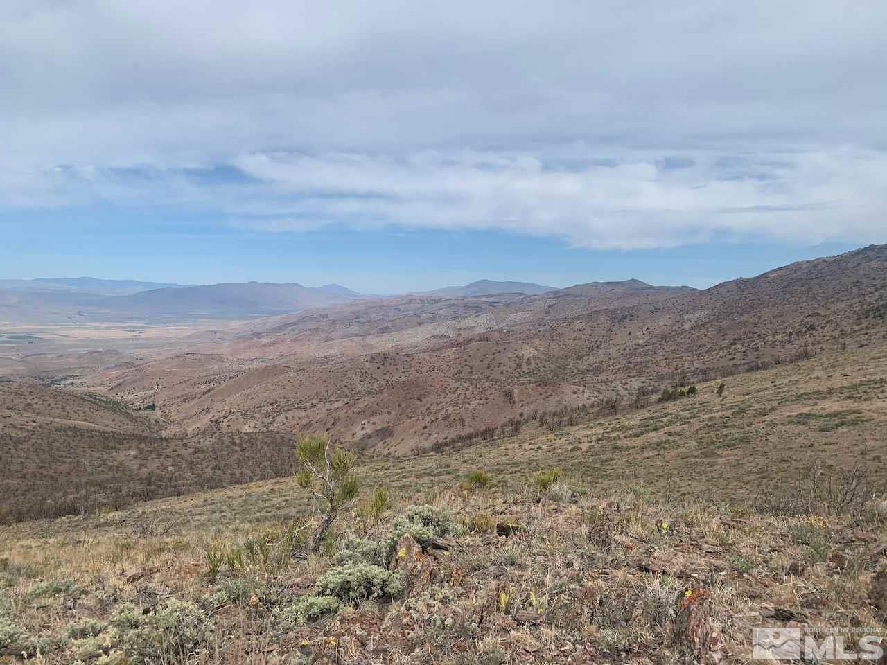 2655 Piute Creek Road Reno, NV 89510 - Photo 6 of 7 a view of mountain view with lots of trees