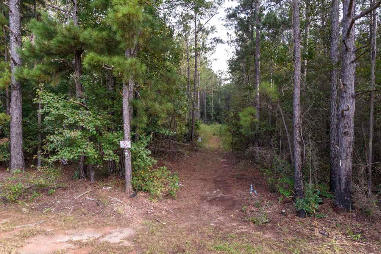 0 Rock Eagle Road, Unit 78 Monticello, GA 31064 - Photo 1 of 1 Gallery Image 1