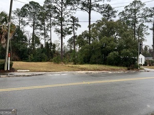 22 Alice Street Waycross, GA 31501 - Photo 1 of 5 a view of a house with a yard and large trees