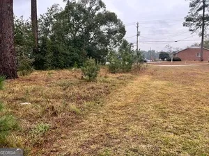 a view of a yard with an trees