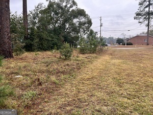 22 Alice Street Waycross, GA 31501 - Photo 2 of 5 a view of a yard with an trees