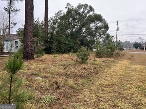 22 Alice Street Waycross, GA 31501 - Photo 3 of 5