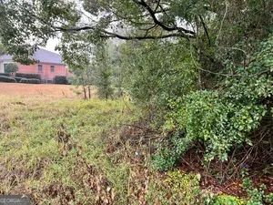 a view of a swimming pool and a yard