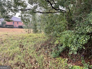 22 Alice Street Waycross, GA 31501 - Photo 4 of 5 a view of a house with a tree