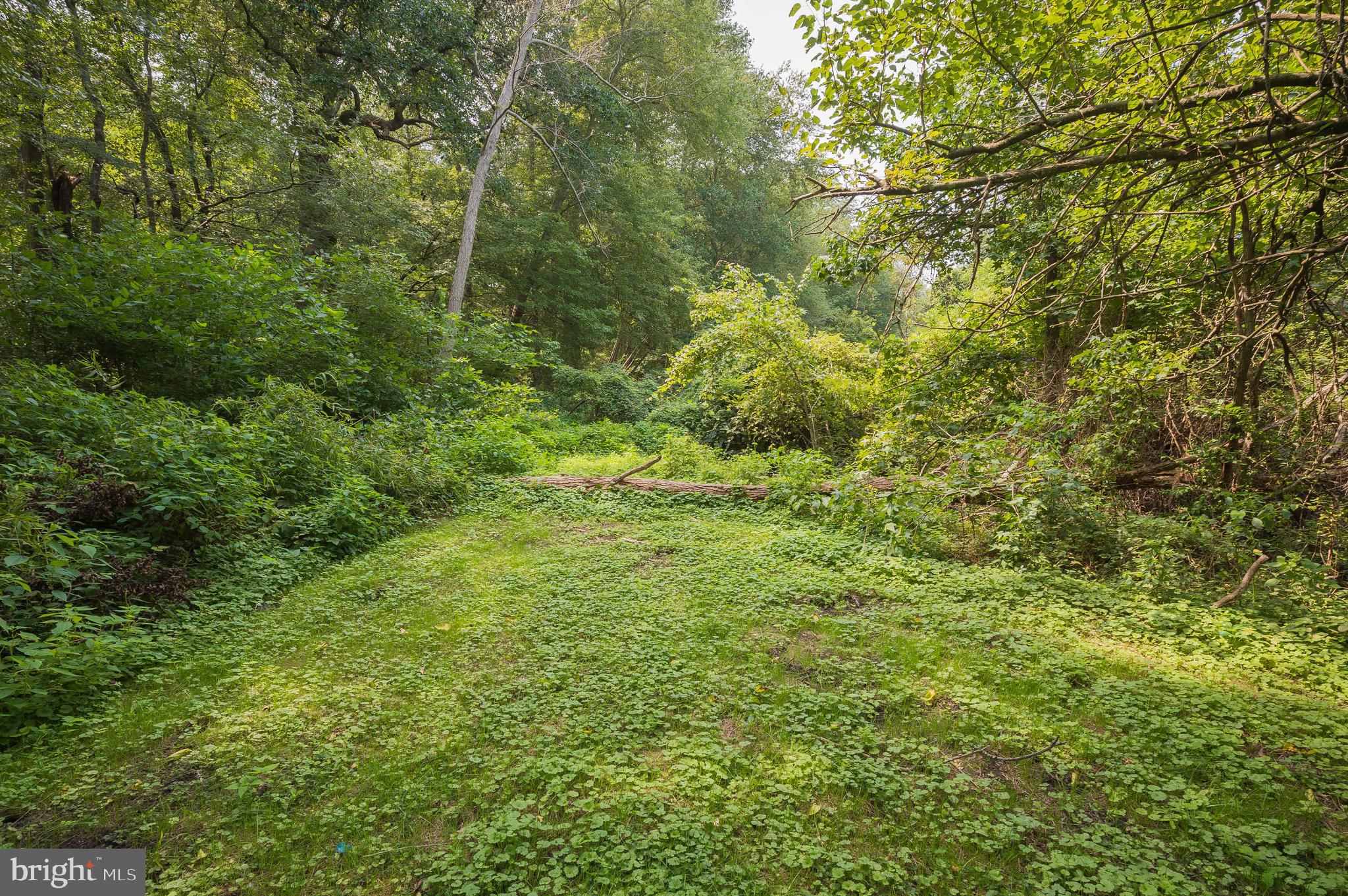 9201 Seahawk Road Berlin, MD 21811 - Photo 31 of 42 Backyard