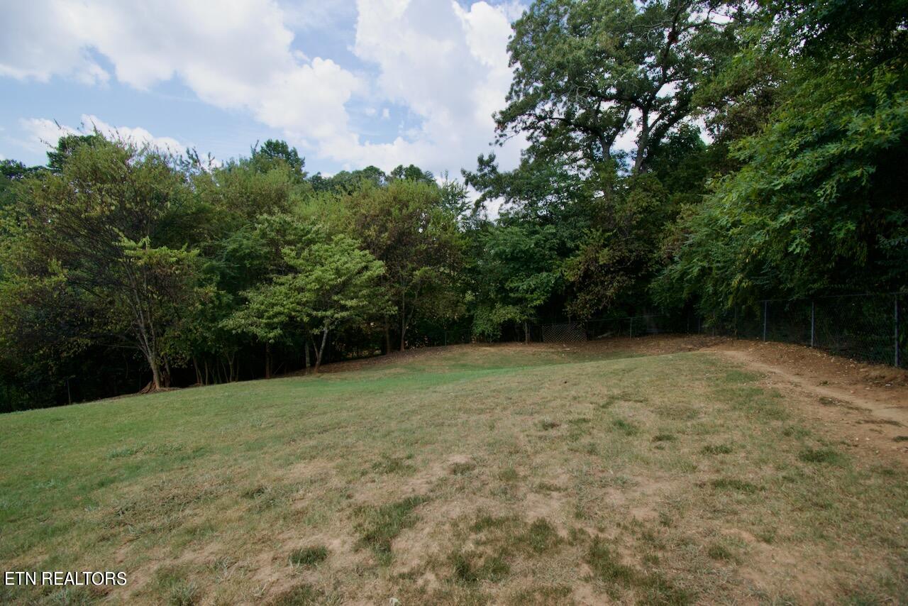 209 North Clover Hill Ridge Road Maryville, TN 37801 - Photo 41 of 44 DSC_0916