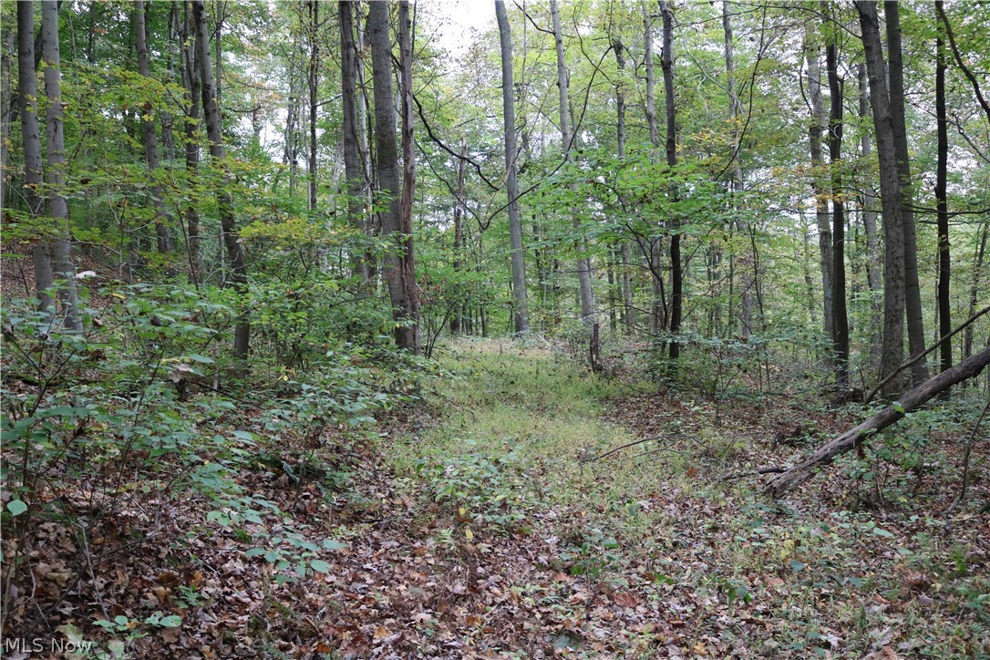 2115 Goss Fork Road Whipple, OH 45788 - Photo 13 of 32 Gallery Image 13