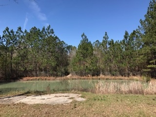 2478 Luke Rivers Road McIntosh, AL 36553 - Photo 19 of 22 Back Yard