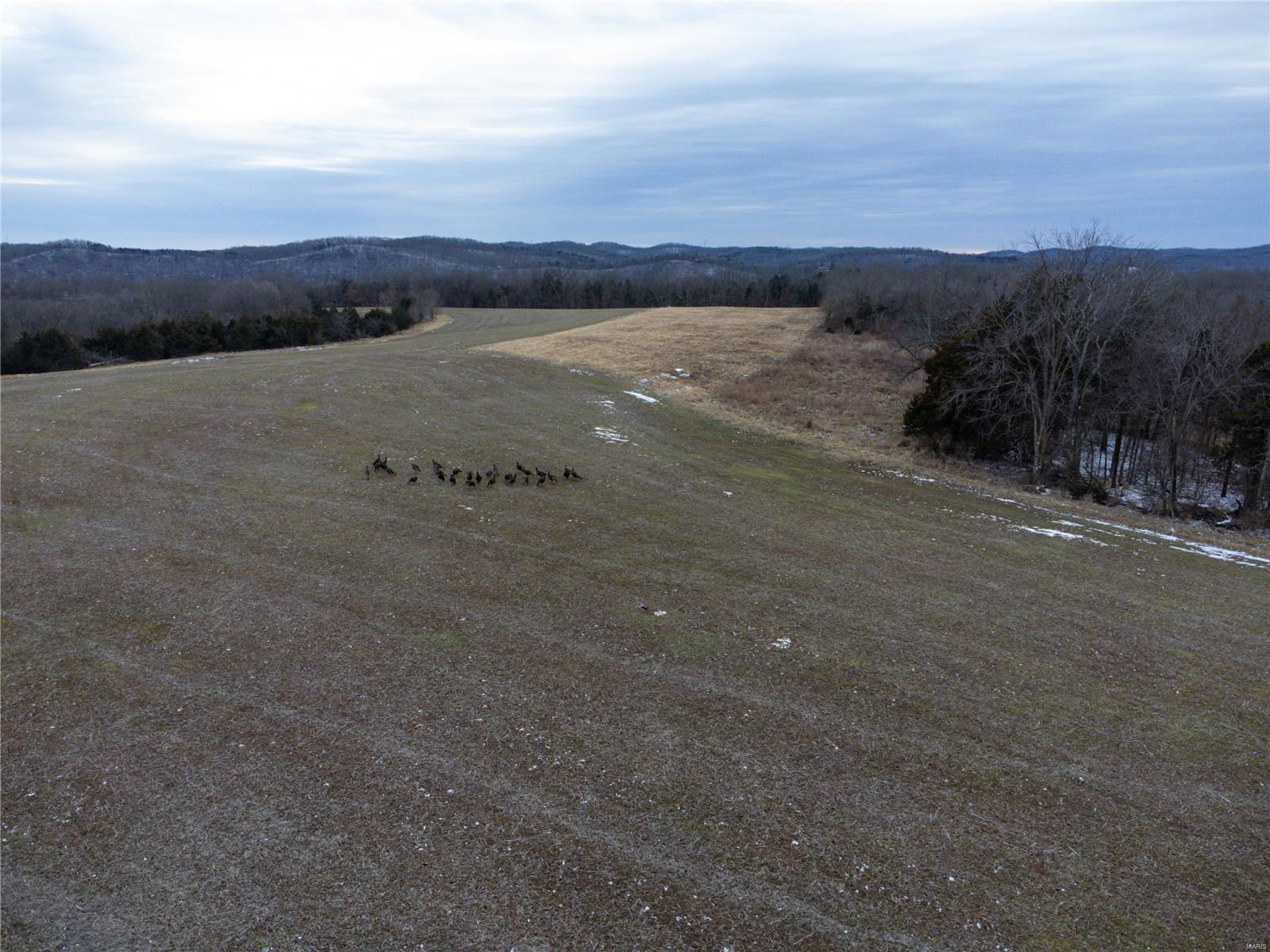 6365 Horneker Road Eureka, MO 63069 - Photo 50 of 51