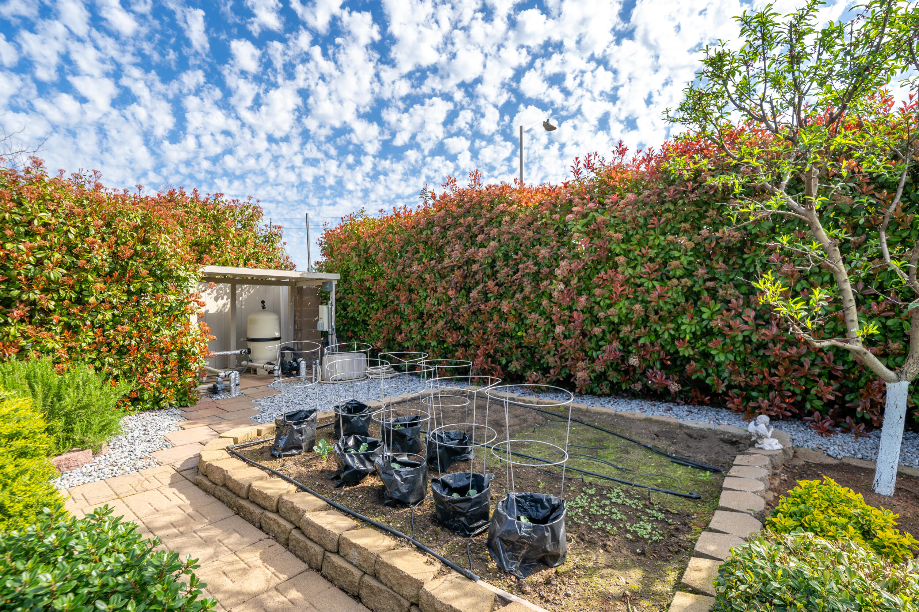 1915 Jolie Way Redding, CA 96003 - Photo 23 of 32 Garden area