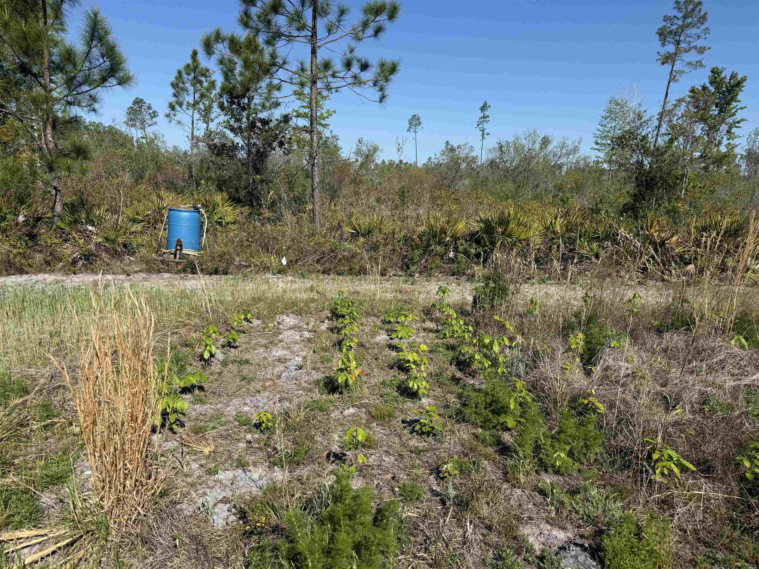 0 Madison Main Line Road Perry, FL 32347 - Photo 23 of 50