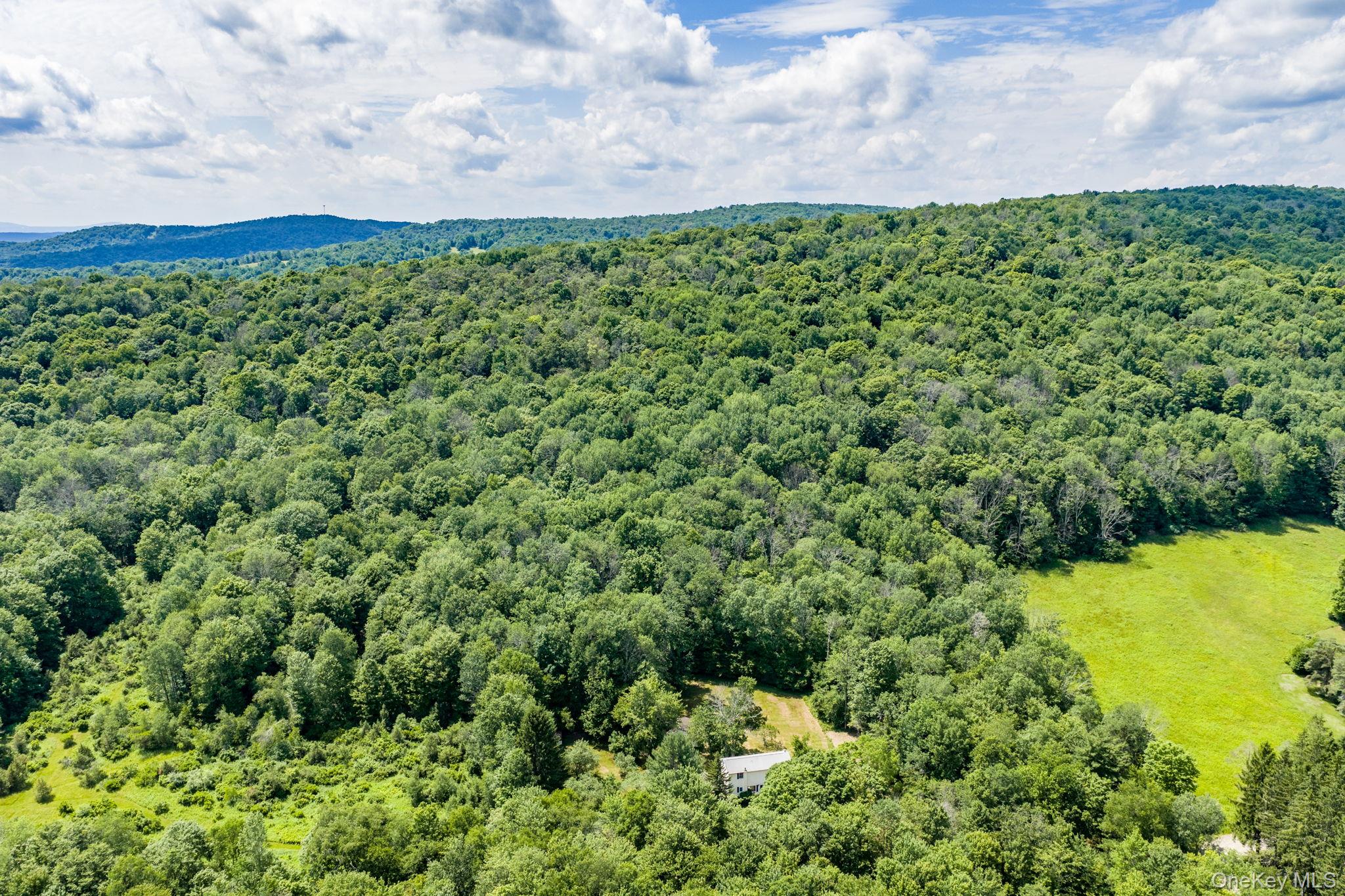 10 Hoffman Road Hankins, NY 12741 - Photo 41 of 46