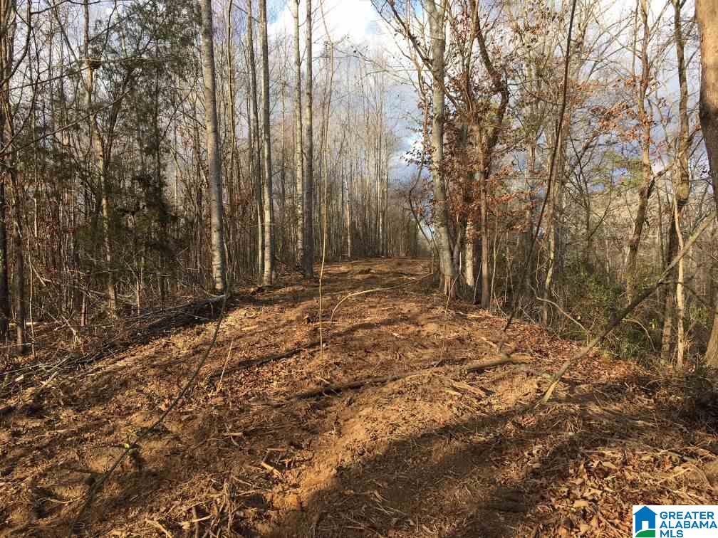 33 County Road, Unit 48 Oneonta, AL 35121 - Photo 27 of 33