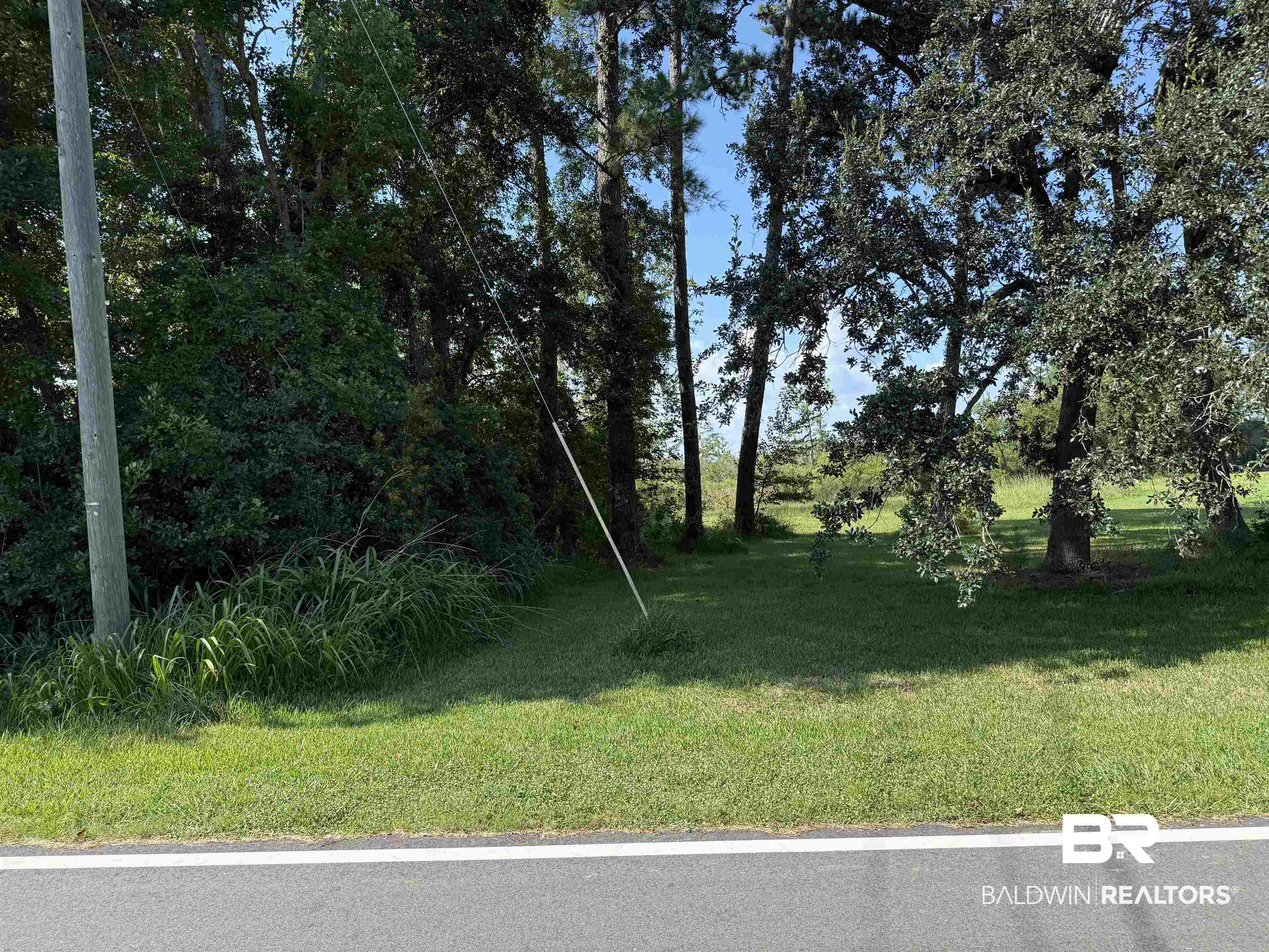 0 Higgins Road Mobile, AL 36619 - Photo 1 of 2 View of grassy yard