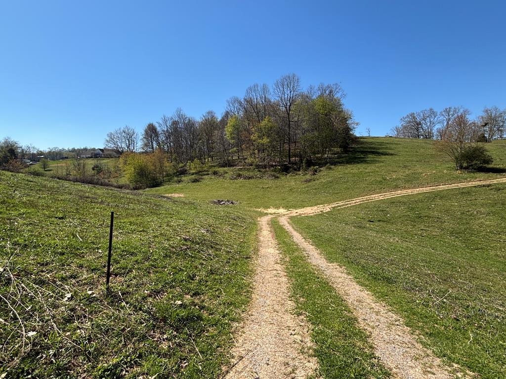 Tbd Yellow Springs Road, Unit 10 Meadowview, VA 24361 - Photo 8 of 14 Gallery Image 8