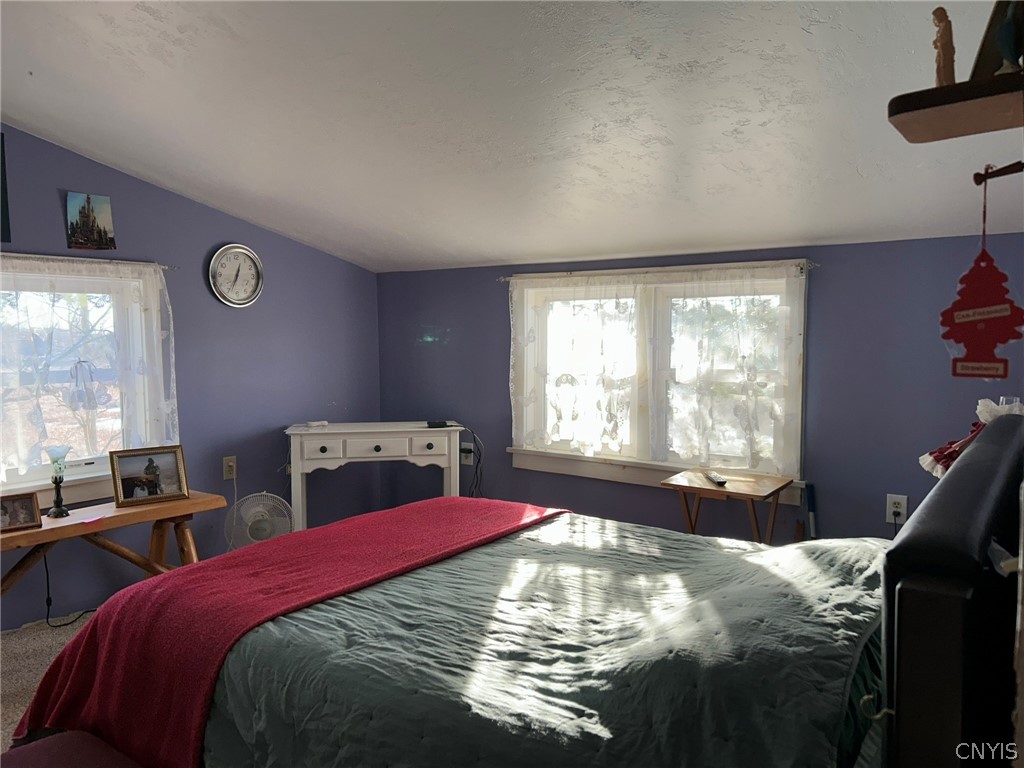 44001 Stine Road Alexandria, NY 13679 - Photo 21 of 41