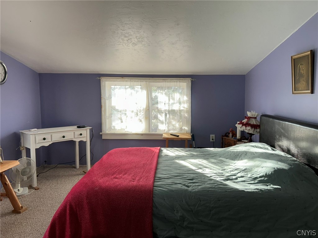 44001 Stine Road Alexandria, NY 13679 - Photo 23 of 41