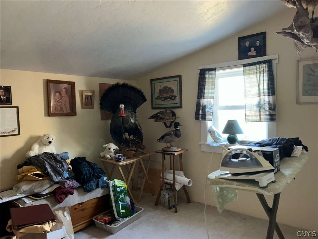 44001 Stine Road Alexandria, NY 13679 - Photo 27 of 41