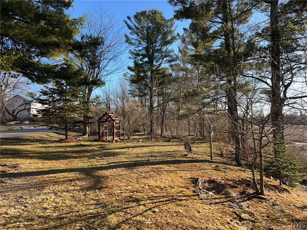 44001 Stine Road Alexandria, NY 13679 - Photo 34 of 41