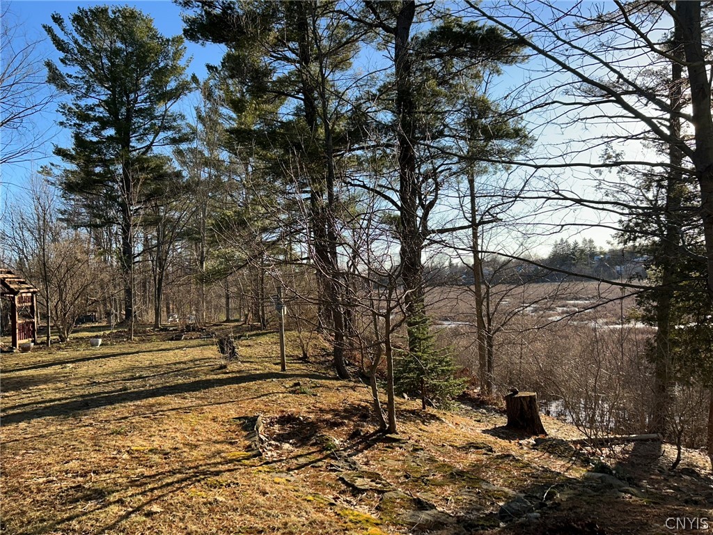 44001 Stine Road Alexandria, NY 13679 - Photo 36 of 41