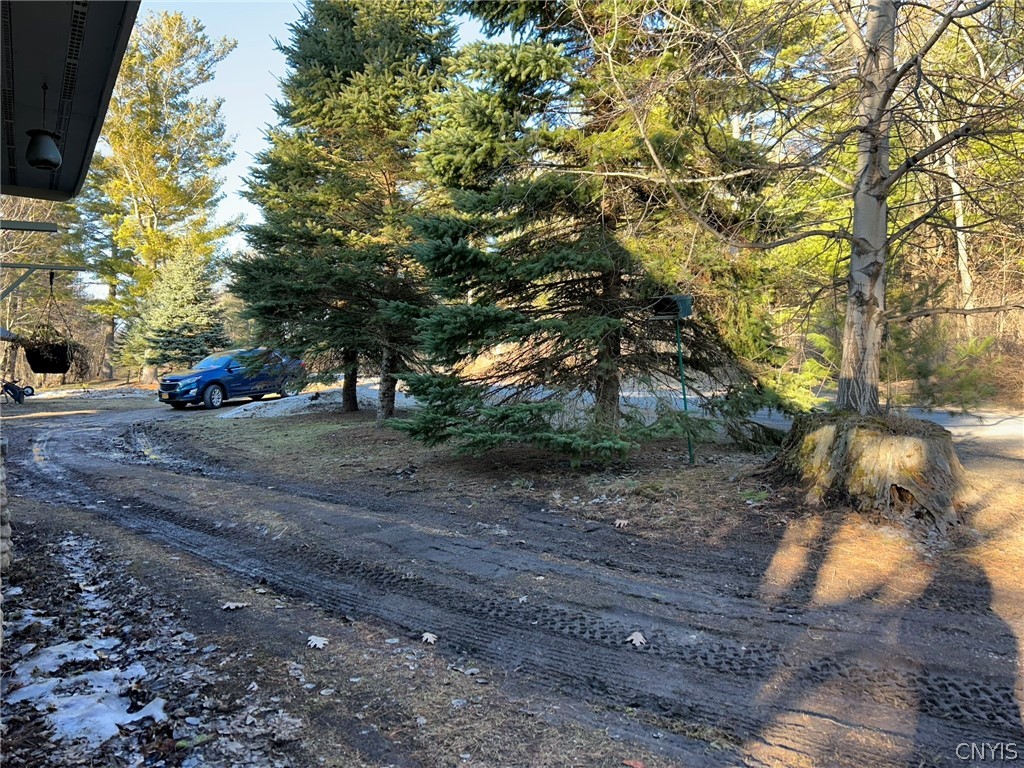 44001 Stine Road Alexandria, NY 13679 - Photo 37 of 41