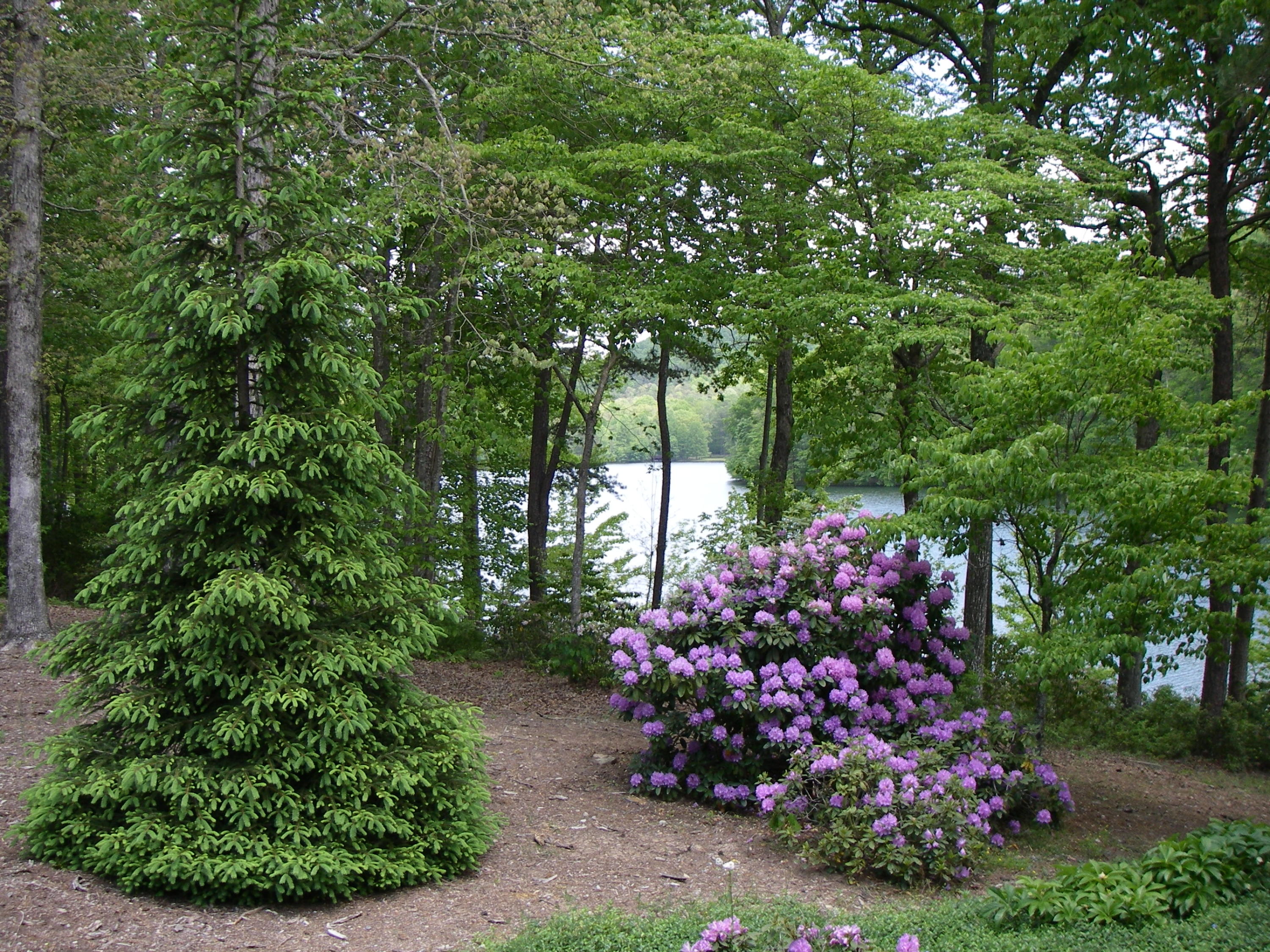 114 Fox Hollow Road, Unit 51 Dunlap, TN 37327 - Photo 23 of 27 landscape